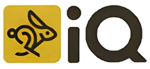 اینتلیجنتلی کوئیکلی