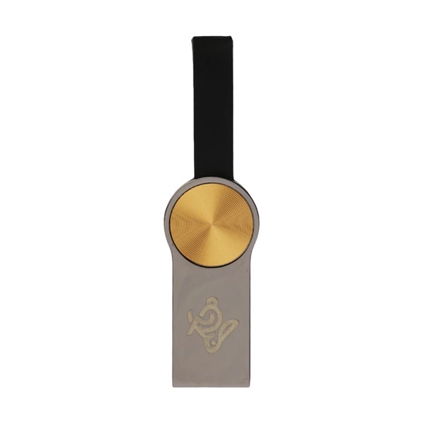 فلش مموری مدل Leather iQ 307 ظرفیت 32 گیگابایت